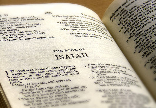 The Irrationality of Sin ~ A Devotional from Isaiah 1:2-9 (Part 2)